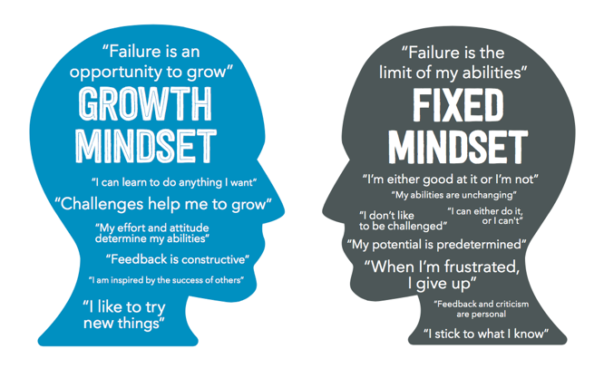 What is the difference between a fixed mindset and a growth mindset?